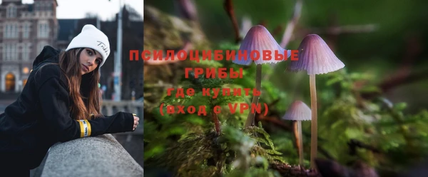 твердый Алексин