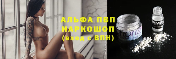 твердый Алексин