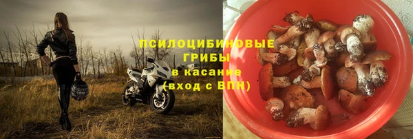 соль ск Алзамай