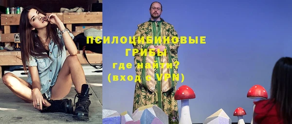 соль ск Алзамай