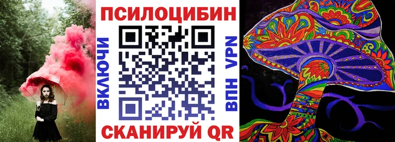 Псилоцибиновые грибы Cubensis  Тверь 
